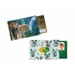 3700536113034-Color Pop - Etui rigide imprimé pour 1 carte - différents modèles disponibles-P_79425128_1-0