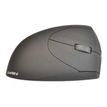 Waateck - souris sans fil ergonomique pour droitier - noir