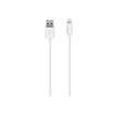 3760259030353-GreenE câble Lightning - Lightning / USB - 2 m-P_79425140_1-0