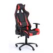 3760185028813-Fauteuil gamer SPORTING - accoudoirs réglables - noir et rouge-P_79429677_2-1