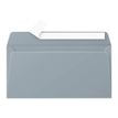3329680500752-Pollen - 20 Enveloppes - 110 x 220 mm - 120 g/m² - argent-P_79431466_1-0