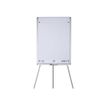 4006140028474-Oxford SmartChart - Recharge pour paperboard - 20 feuilles repositionnables Scribzee-P_79431605_2-1