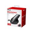 8713439221268-Trust Varo - souris sans fil ergonomique - noire-P_79438470_1-4