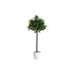 3660141290226-Pot San Remo - diamètre 30 cm - blanc-P_79441276_2-2