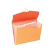 3135251828381-Viquel Tandem - Trieur extensible 6 positions-P_79443390_1-0