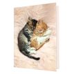 3108720615515-Agenda Chaton 1 jour par page - 12,5 x 17,5 cm - 2 décors au choix - Oberthur--0