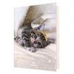3108720615515-Agenda Chaton 1 jour par page - 12,5 x 17,5 cm - 2 décors au choix - Oberthur--1
