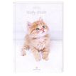 3108720514511-Cahier de textes Chaton - 15,5 x 22 cm - Oberthur--0