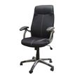 3397703398945-Fauteuil de bureau TARANIS - accoudoirs fixes - appui-tête intégré - noir--4