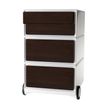 3660141934502-Caisson de bureau mobile EASYBOX - 2 tiroirs et 2 plumiers - Wengé--0