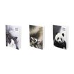 3147280059407-Agenda Print Animaux - 1 jour par page - 12 x 17 cm - différents modèles disponibles - Hamelin--0