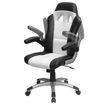 3700339876983-Fauteuil gamer RACER - accoudoirs rabattables - noir et blanc--1