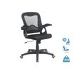 3397701202787-Fauteuil de bureau TEFERA - accoudoirs rabattables - noir--0