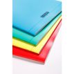 3210330183527-Calligraphe 8000 - Cahier polypro A4 (21x29,7 cm) - 96 pages - petits carreaux (5x5 mm) - disponible dans diff--5