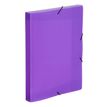 Viquel Propyglass - Boîte de classement plastique - dos 30 mm - violet