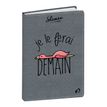 3371010442539-Agenda Shaman - 1 jour par page - 12 x 17 cm - Demain - Quo Vadis--0
