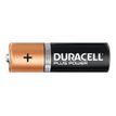 DURACELL Plus MN1500 - 20 piles alcalines - AA LR06