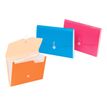 Viquel Future - Valisette trieur 6 compartiments - disponible dans différentes couleurs