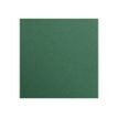 Clairefontaine Maya - Papier à dessin - 50 x 70 cm - 25 feuilles - 270 g/m² - vert antique