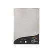 Pollen - 50 Feuilles papier couleur - A4 (21 x 29,7 cm) - 120 g/m² - argent