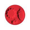 4007817023846-FIMO accessories 8725 Cameo - moule à pousser-Avant-0