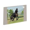 3108720414316-Oberthur Cheval - Sous-main double-Angle gauche-0