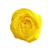 Clairefontaine Premium - Papier crépon - Rouleau 50 cm x 2,5 m - 40 g/m² - jaune citron