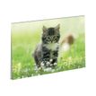 3108720414514-Oberthur Chaton - Sous-main double-Angle gauche-0