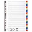 Exacompta - Pack de 20 intercalaires 31 positions numériques - A4 - couleurs assorties