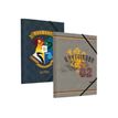 3661507514604-Kid'Abord Harry Potter Gryffondor - Chemise à rabats - différents modèles disponibles-Angle gauche-0