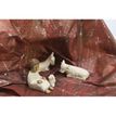 3065502811995-Clairefontaine - Papier cadeau rocher - 70 cm x 2,5 m - 60 g/m²-P_99999600_2-1