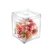 3462159005393-Take a Break by CEP - Boîte transprente (pour dosettes, bonbons…)-Angle gauche-1
