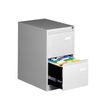 5020073257847-Classeur métallique monobloc professionnel - 2 tiroirs - H71 x L41 x P62 cm - gris clair--0
