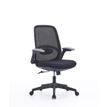 3760388581207-Fauteuil de bureau VEGA - accoudoirs rabattables - noir--3