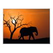 Cadre de décoration plexi/alu - 61 x 81 cm - Elephant