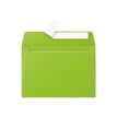 Pollen - 20 Enveloppes - 114 x 162 mm - 120 g/m² - menthe