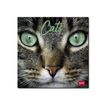 8051128759839-Legami - Calendrier mensuel 2024 - 18 x 18 cm - chats -Avant-0
