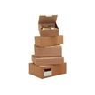 50 Boîtes postales d'expédition - 25 cm x 15 cm x 10 cm - kraft brun - Logistipack