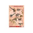 3592930009903-Bouchut - Poster Les Dinosaures - 52 x 76 cm-Avant-0
