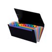 Viquel Rainbow Class - Trieur 12 positions - format chèque