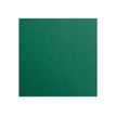 Clairefontaine Maya - Papier à dessin - 50 x 70 cm - 270 g/m² - vert antique