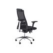 3760185029223-Fauteuil de bureau ergonomique TENEESEE - accoudoirs réglables - appui-tête amovible - no-Angle gauche-1