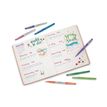 3501179924540-Paper Mate FLAIR Candy Pop - feutre-Angle gauche-3