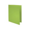3288582171135-Exacompta Rock"s - 10 Chemises - 210 gr - menthe-Angle droit-0