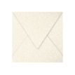 3329680500486-Pollen - 20 Enveloppes - 140 x 140 mm - 120 g/m² - ivoire irisé-Avant-0