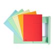 3130635449008-Exacompta Forever - 100 Chemises imprimées format folio - 280 gr - couleurs assorties-Avant-1