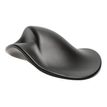 Bakker Elkhuizen HandShoe - souris sans fil ergonomique pour gaucher - grande taille