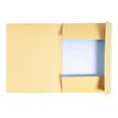 3130633448027-Exacompta Forever - 100 Chemises imprimées - 280 gr - bulle-Avant-1
