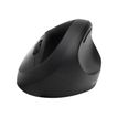 5028252602730-Kensington Pro Fit Ergo - Ensemble clavier et souris sans fil - Azerty - noir-Avant-17