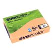Clairefontaine Evercolor - Papier couleur recyclé - A4 (210 x 297 mm) - 80g/m² - 500 feuilles - saumon